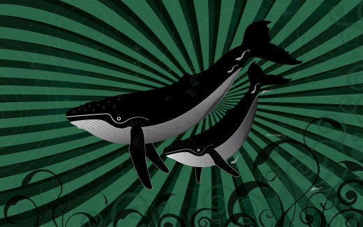 537219 (a): :1920x1200